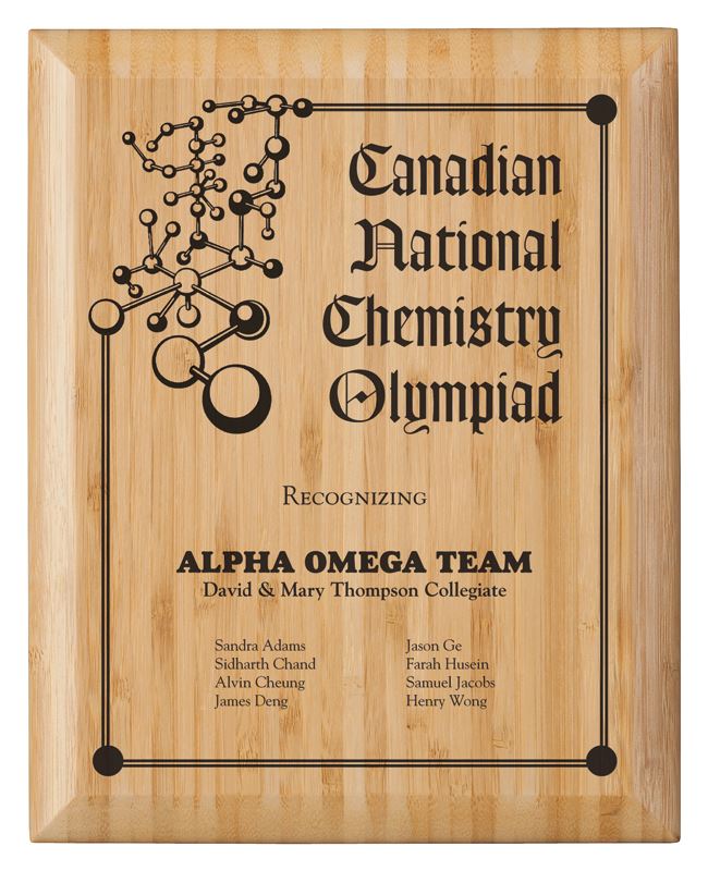 Custom Bamboo Perpetual Recognition Plaque factory
